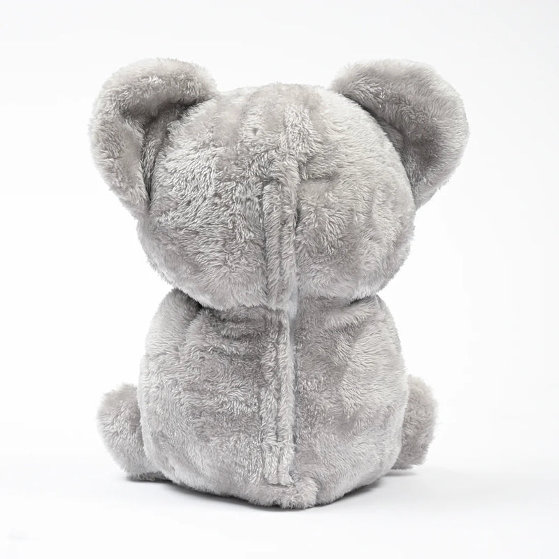 Koala - Image 5