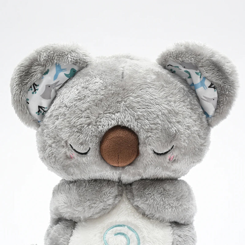 Koala - Image 6